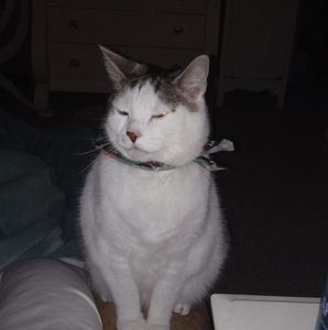 Meet your Posher, Denise